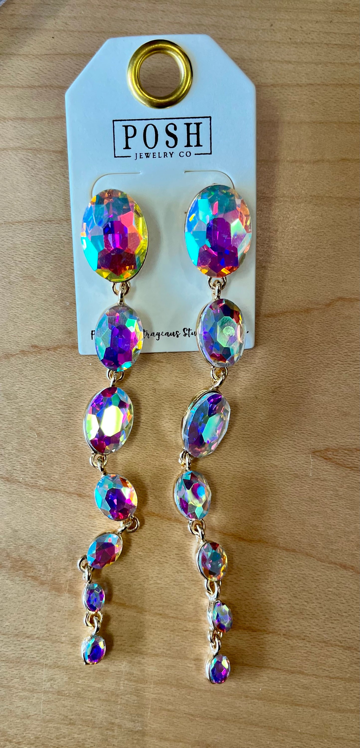 2024 POSH Earrings