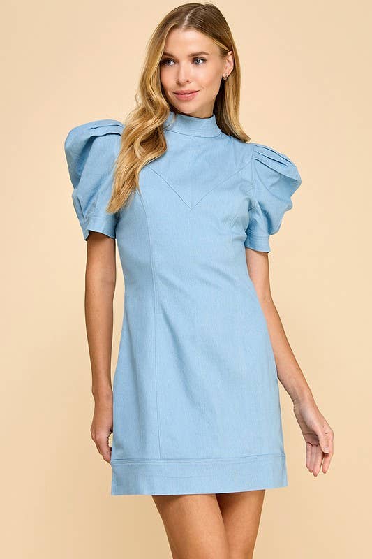 Hidden Zipper Denim Dress