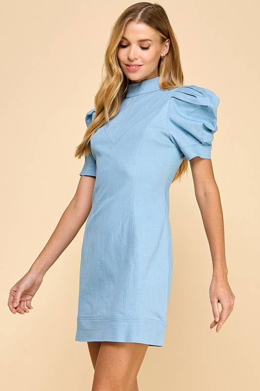 Hidden Zipper Denim Dress