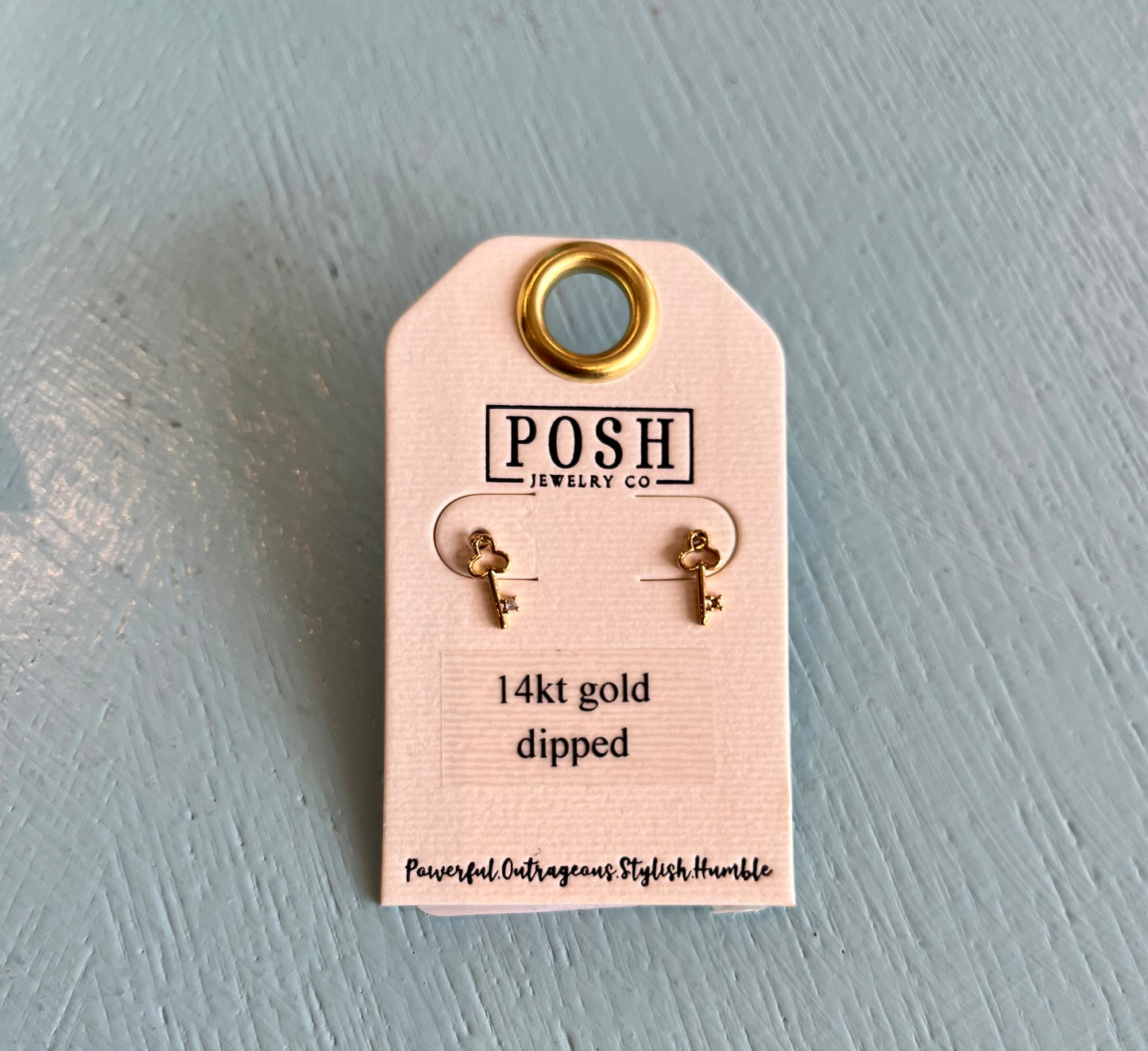 2024 POSH Earrings