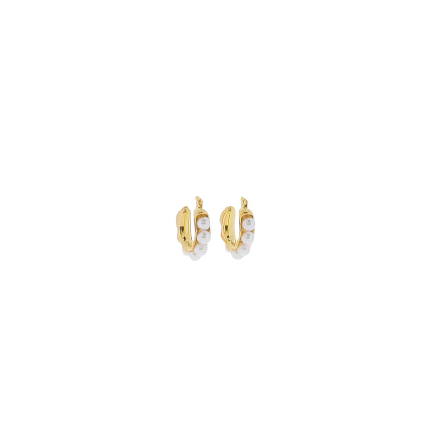 18K Gold Plated Earrings