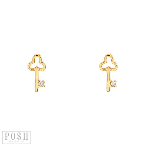 2024 POSH Earrings