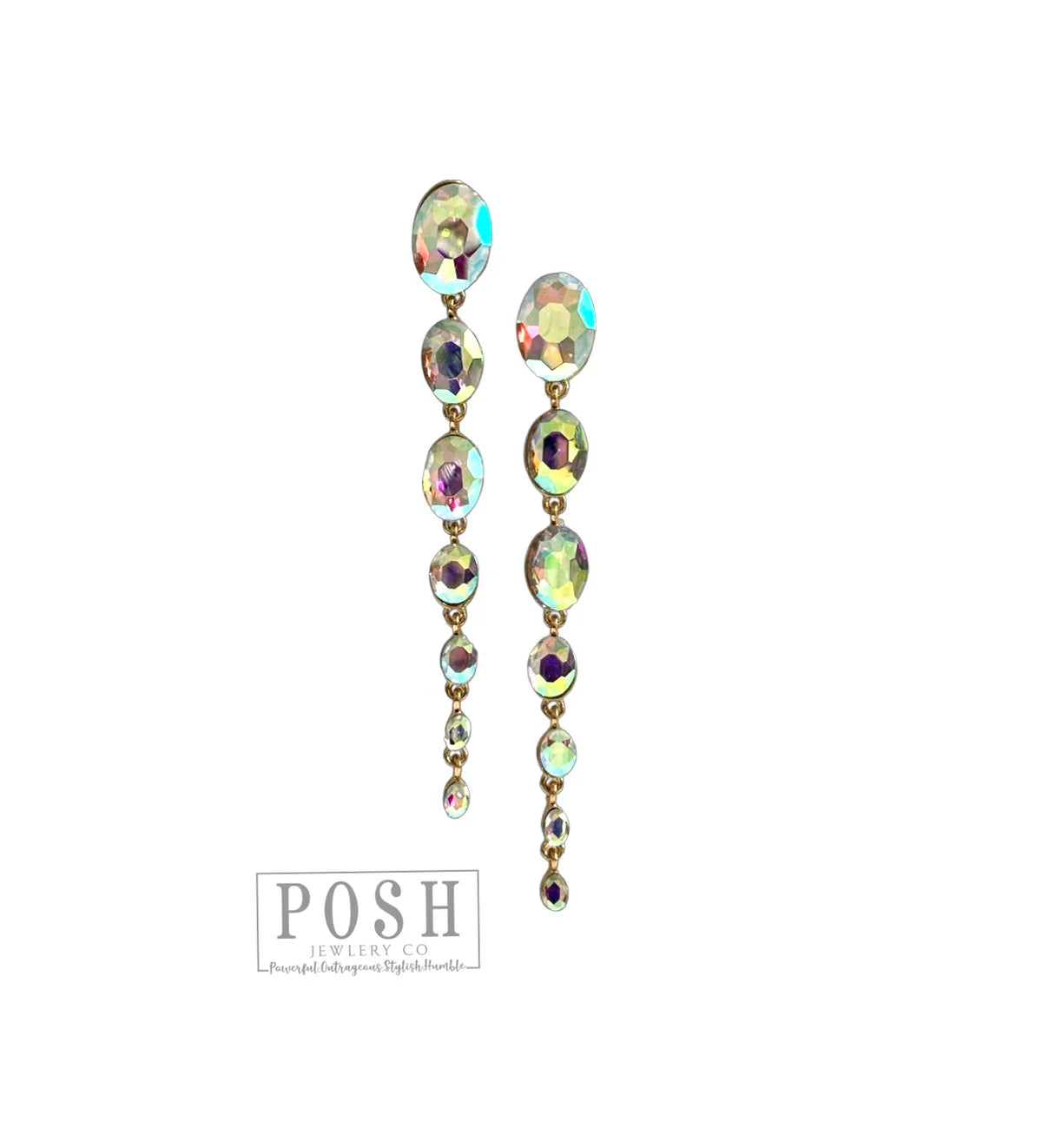2024 POSH Earrings