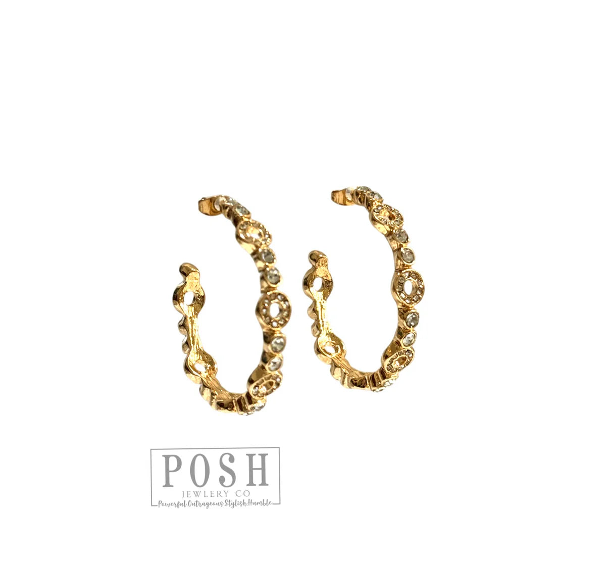 POSH Earrings