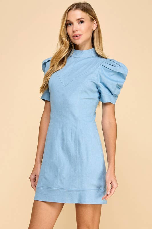 Hidden Zipper Denim Dress