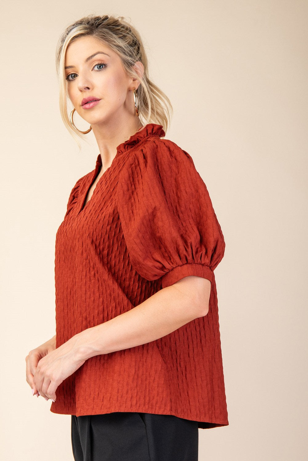 Puff Sleeve Textured Blouse