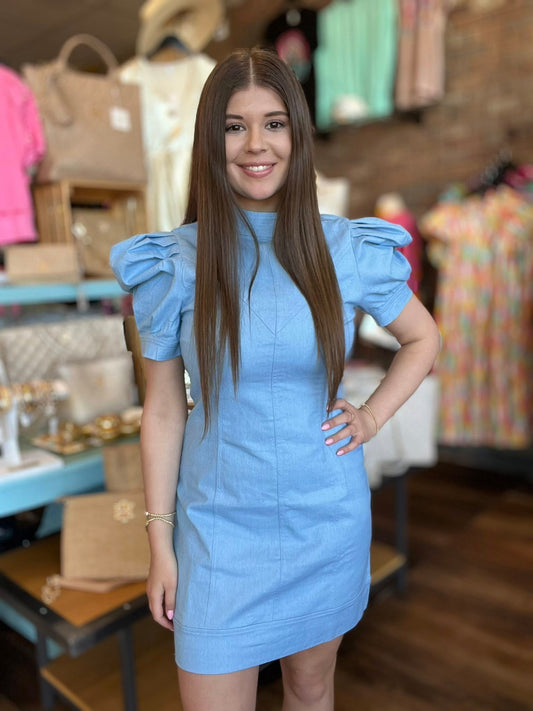 Hidden Zipper Denim Dress